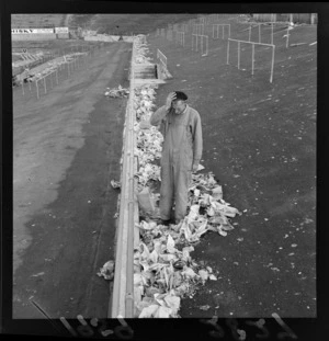 Mr Vince Meates, custodian, cleaning rubbish from grounds after second test match, at Athletic Park, Berhampore, Wellington