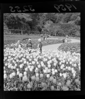 Tulips at Wellington botanical gardens, including three small unidentified girls wearing knitted bonnets