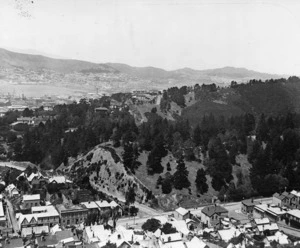 View of Thorndon, Wellington