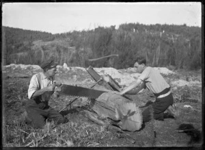 Albert Percy Godber and his son Bill sawing a log on their property at Silverstream, circa 1918.