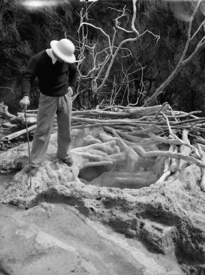 Eagle's Nest Geyser and man alongside