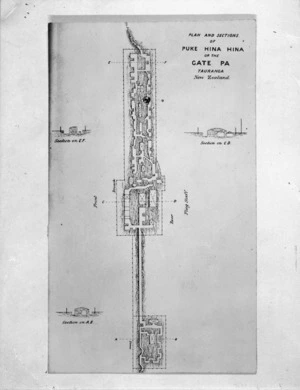 Plan and sections of Puke Hina Hina, or the Gate Pa, Tauranga