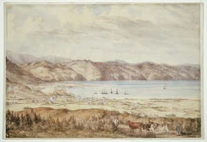 Barraud, Charles Decimus 1822-1897 :[Wellington from Brooklyn, 1852]