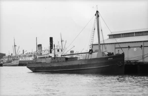 Steamboat Koau, Wellington Harbour