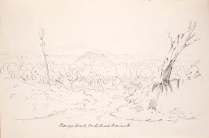 Johnson, John 1794-1848 :Mangaturoto f[ro]m behind Waimate. [1840?].