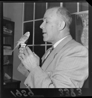 Mr A A McDonald with a budgerigar, probably in Wellington