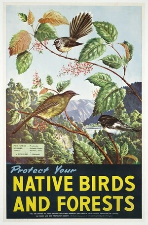 Poulton, Maurice Alec, 1909-1983 :Protect your native birds and forests. Pied fantail ... bellbird ... tomtit ... on wineberry, makomako. Produced by the Publicity and Advertising Branch, N.Z.Railways [ca 1965?]