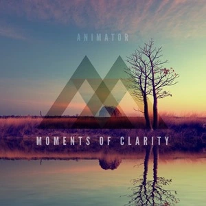 Moments of clarity [electronic resource] / Animator.