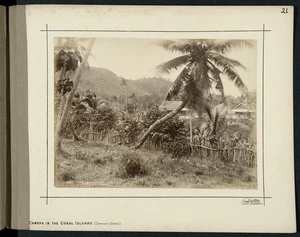 The Bungalow, Mango, Fiji