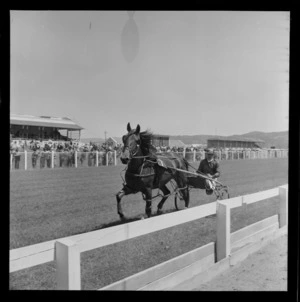 Trotting race on first day of racing at Hutt Park, Lower Hutt