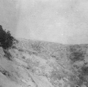 Photograph taken during the armistice to bury the dead, Gallipoli, Turkey
