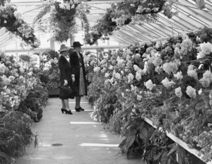 Summer display of Begonias in the Main Glasshouse of the Wellington Botanic Garden Nursery