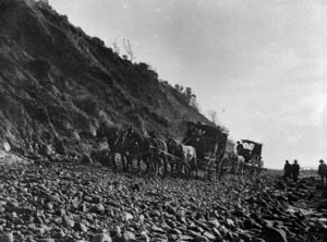 Horse drawn carriages on rocks near Tolaga Bay