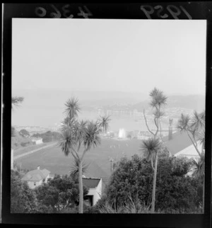 View of Wellington from Kelburn, Wellington, looking across Kelburn Park, including fountain