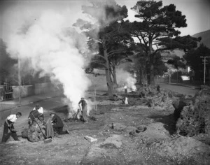 Men clearing pines from from Fitzherbert Terrace, Thorndon, Wellington