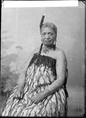 Portrait of an unidentified Maori woman, Wanganui region