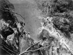 Petrifying geyser, Wairakei