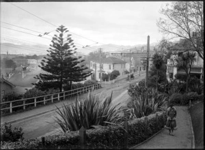 Thorndon, Wellington, with Queens Gardens and Grosvenor Terrace
