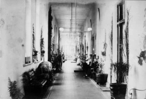 Staff members in a corridor of Wellington Hospital