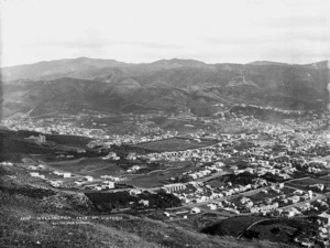 Overlooking Wellington City
