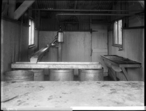 Milk transfer system in a shed at a dairy farm
