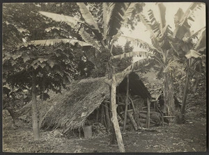 House, Vanuatu