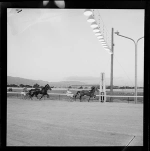 Horses reaching finish line, harness racing at Hutt Park, Lower Hutt, Wellington