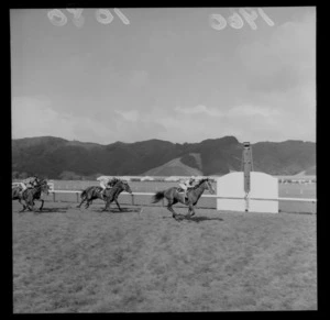 Horse racing at Trentham Racecourse, Upper Hutt, Wellington