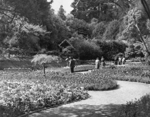 The Sunken Garden, Wellington Botanic Gardens