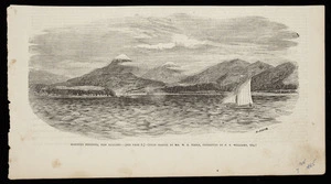 [Nazer, Bowen Watson], 1842-1882 :Hokitiki diggings, New Zealand. [see page 3]. (From sketch by Mr W B Naser, presented by F Y Williams, Esq) / [engraved by] Al Jackson. [Illustrated Sydney news, 15 July 1865, page 1].