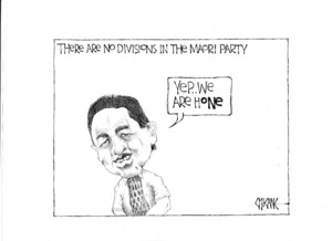 There are no divisions in the Maori Party "Yep... We are HONE" 3 December 2009