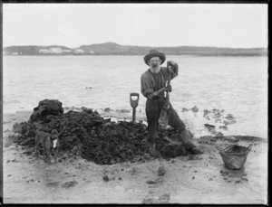 John Henry Subritzky digging for gum on a beach at Houhora Harbour