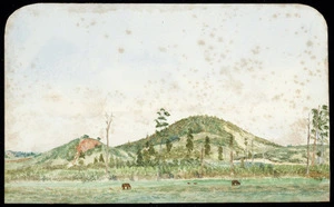 Artist unknown :From Te Aroha, looking north [ca 1902]