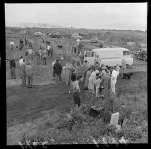 Dogs being vaccinated against hydatid disease, from a Hydatid Control Authority vehicle, location unidentified