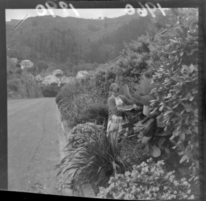 View of a display of native shrubs at the Lady Norwood Rose Gardens with an unidentified teenage girl, Wellington City