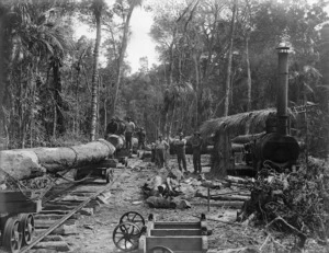 Timber workers preparing kauri logs for rail transportation, Northland Region