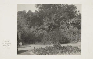 Gardens of Government House, Wellington