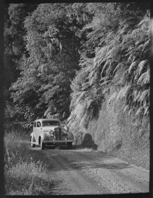 Scene with car on a rural road, and fern covered bank, Fox Glacier district, West Coast
