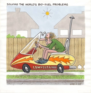 Solving the world's bio-fuel problems. June 2008