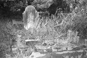 The Cole family grave, plot 189.O, Sydney Street Cemetery.