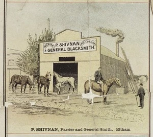 F W Niven & Co. :P Shivnan, general blacksmith. P. Shivnan, farrier and general smith, Eltham. [Ballarat, Victoria, ca 1893]