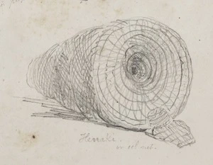 [Angas, George French] 1822-1886 :Henaki or eel net [1844]