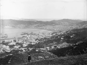 View of Wellington City