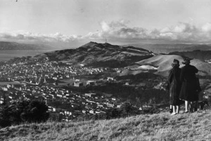 Overlooking the suburb of Newtown, Wellington