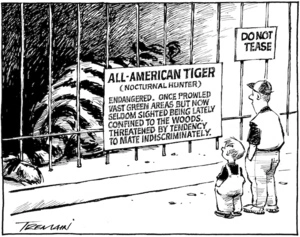 All-American Tiger (Nocturnal Hunter). Do not tease. 16 December 2009