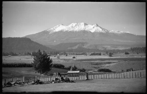 Rural scene with Mount Ruapehu