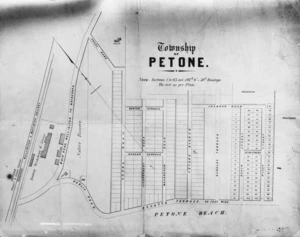 Township of Petone [map]
