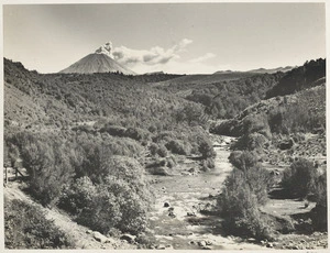 Mount Ngauruhoe seen across forest and scrub