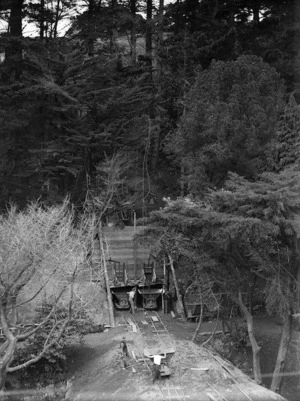 Earth moving work at the Botanic Gardens, Wellington