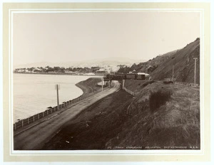 Wellington and Manawatu Railway Company train crossing the Hutt Road Bridge at Thorndon